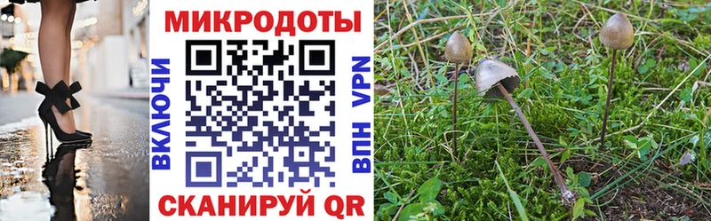 Галлюциногенные грибы MAGIC MUSHROOMS Баймак